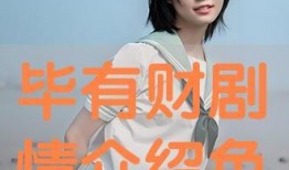 毕有财在线观看,网络热剧，揭秘财富背后的故事